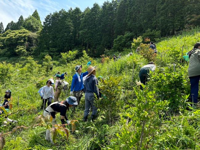 ボランティア活動の様子（前回 2024年６月）