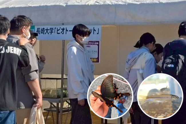作って発見！諫早ビオトープの生き物たち【生き物の紙工作もできるよ】（長崎大学サークルビオトープパレット）