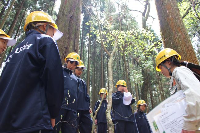 「くじゅう九電の森」には春の花がたくさん！