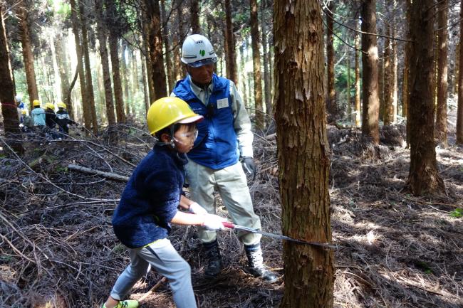 慣れないノコギリを使って挑戦