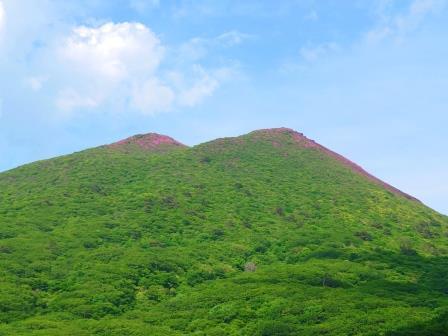 麓からも平治岳の南峰、本峰付近にて花が咲いている様子が分かります