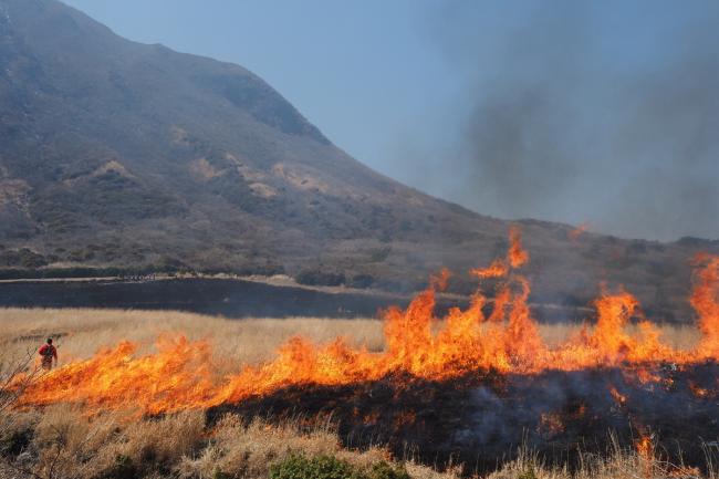 風にあおられて燃え広がる炎