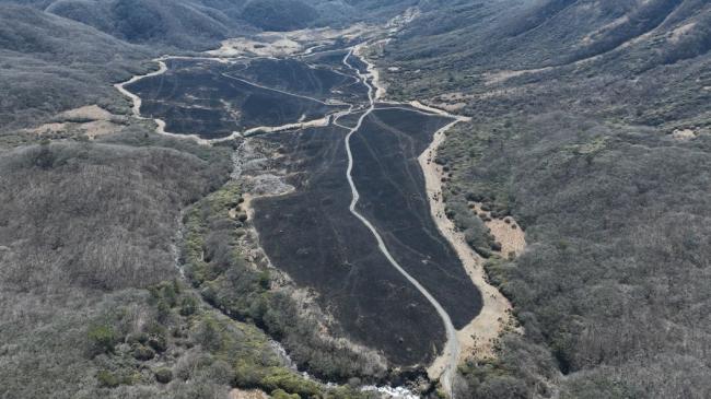 坊ガツル湿原の全景(AFTER)