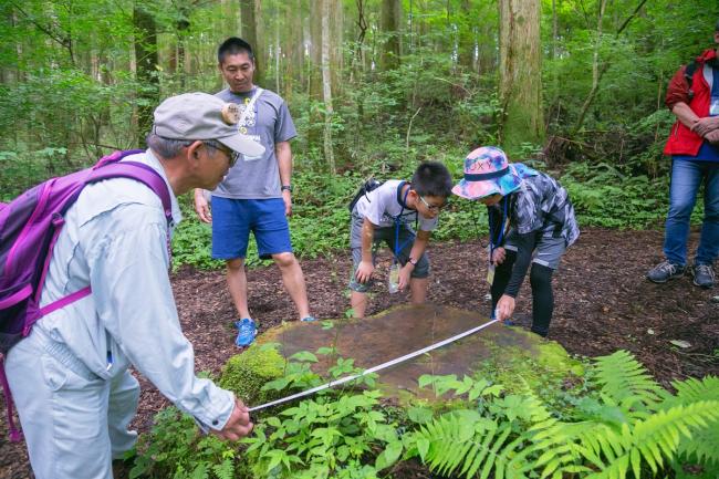 切り株の大きさはどれくらいかな？？