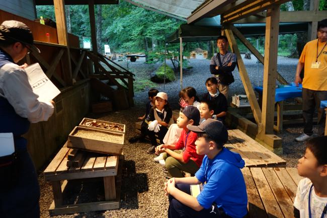 森の「水を貯える」役割を真剣に聴く子どもたち