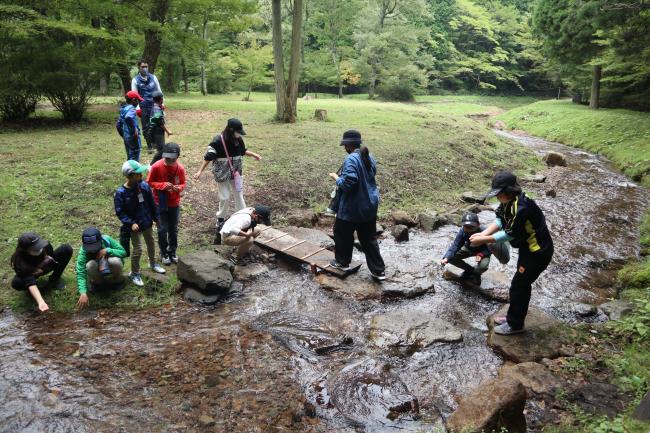 散策途中の小川では川の冷たさを感じました