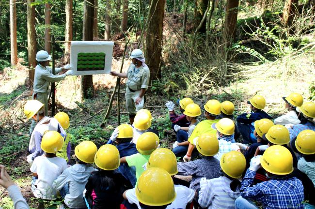 まずは、間伐の必要性や方法をお勉強！