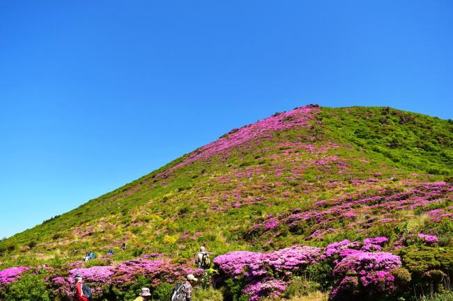 坊ガツルから１時間半歩いて大戸越へ