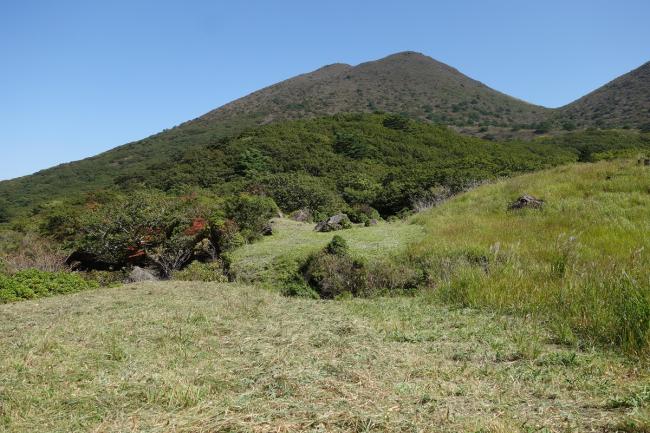 皆さまのおかげで見事な「輪地」できました！