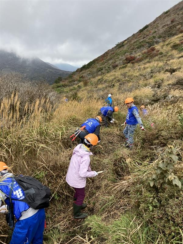 芽かきの作業風景②