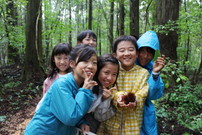 トゲトゲの「栗」をみつけたよ！！