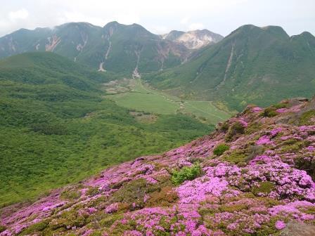 平治岳南側斜面と坊ガツル湿原