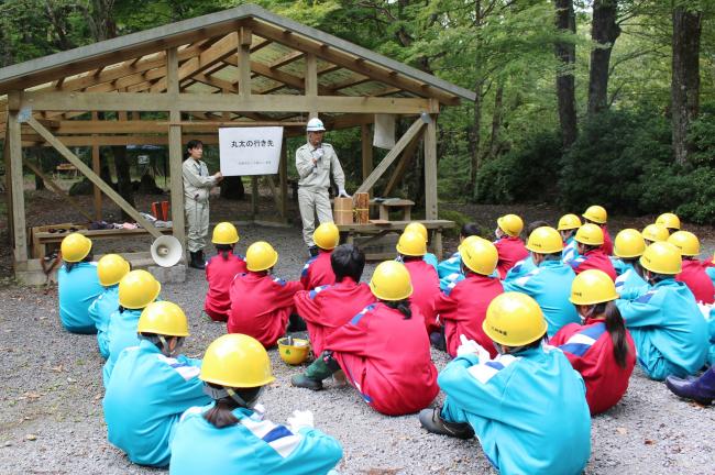 木材を「使う」ことも大切なんだね！