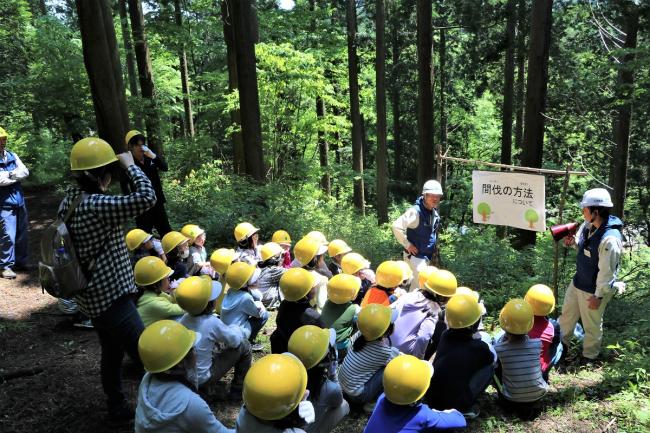 木の伐り倒し方を学習