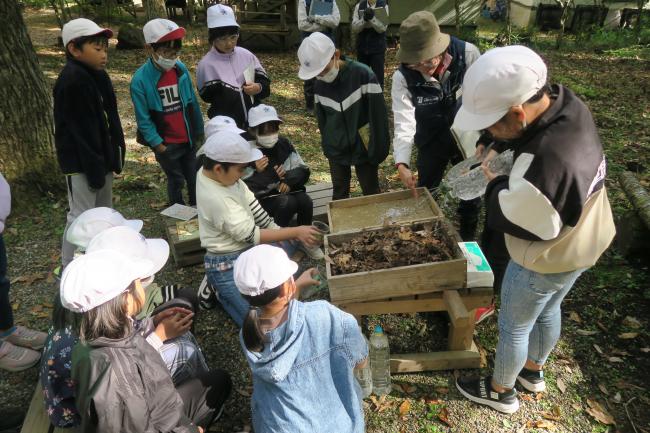 公園と森の土に水を流してみよう！