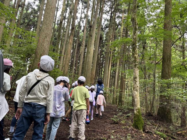 森林散策に出発!