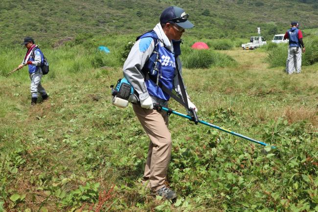 間隔を取りながら草を刈っていきます