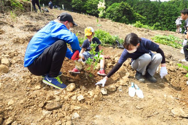 植林の様子