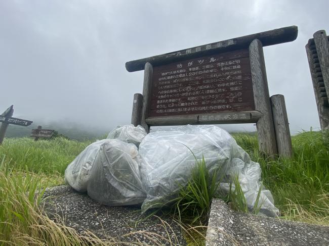 今回の外来植物の駆除では、90ℓのごみ袋12個分となりました