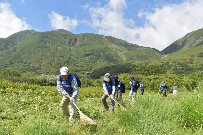 刈った草は、熊手などを使って寄せていきます