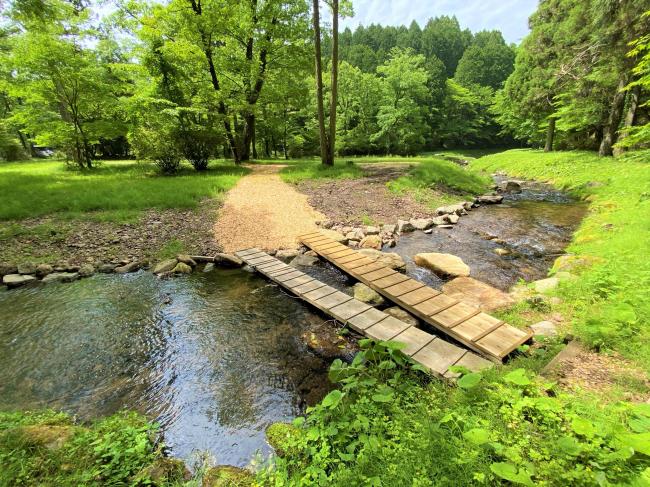 渓流にも丈夫な橋が架かりました。森林観察の時も安心して渡ることができますね！