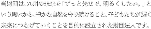 当財団は、九州の未来を「ずっと先まで、明るくしたい。」という思いから、豊かな自然を守り続けること、子どもたちが輝く未来につなげていくことを目的に設立された財団法人です。