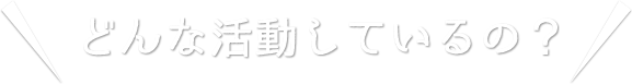 どんな活動しているの？