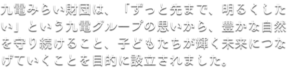 九電みらい財団は、「ずっと先まで明るくしたい。」という九電グループの思いから、豊かな自然を守り続けること、子どもたちが輝く未来につなげていくことを目的に設立されました。